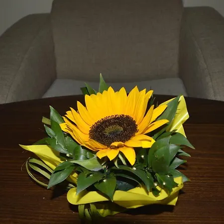 ゲストハウス & Mountain Romance 3*