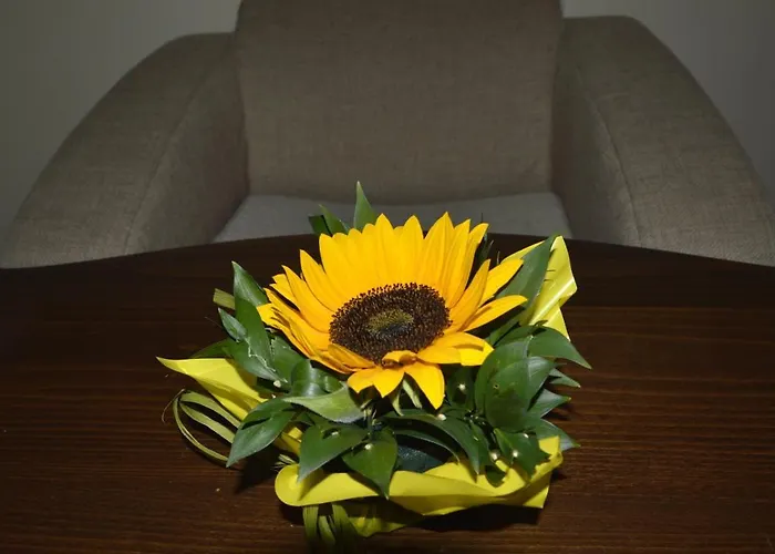 Vendégház & Mountain Romance 3*